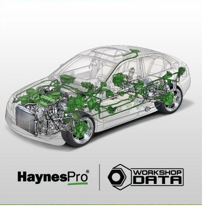 HaynesPro Software (info system)